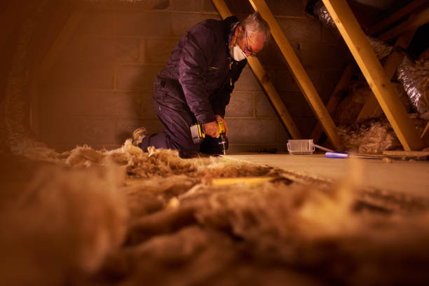 Best Eco-Friendly or Green Insulation Solutions  in Milan, OH